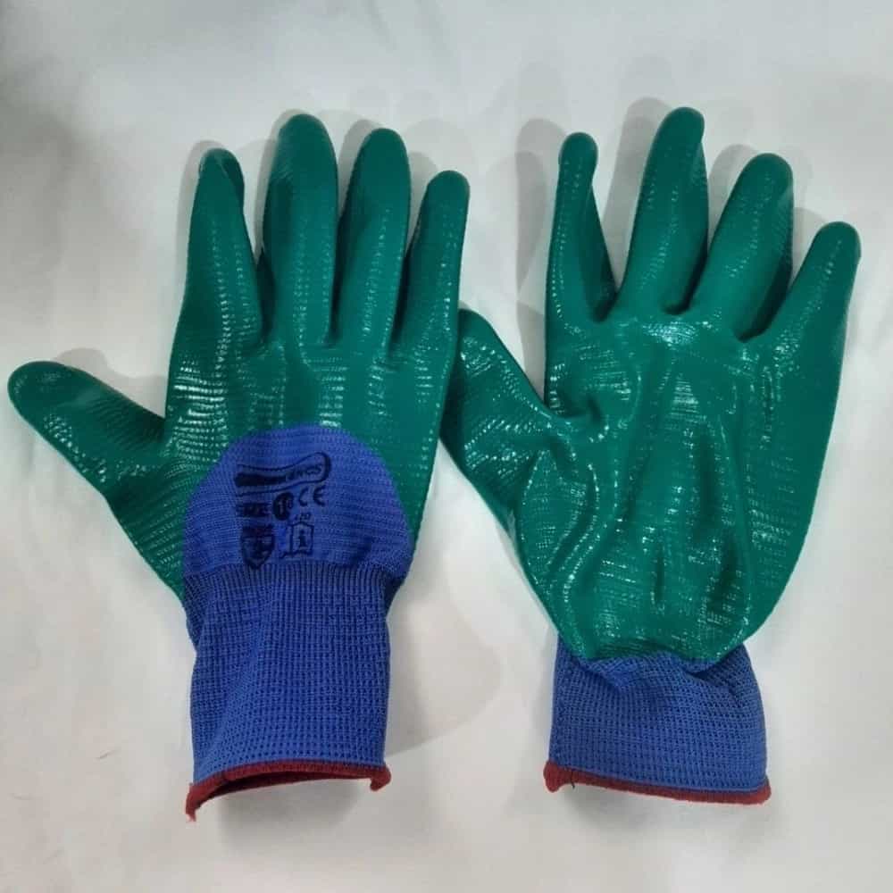1736510335074.webp