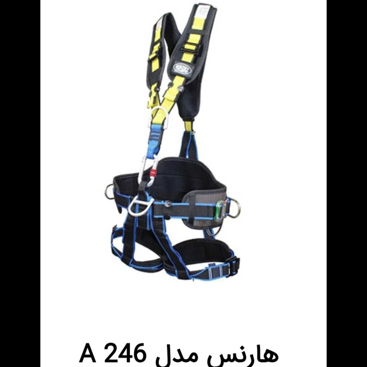 1739541054950.webp